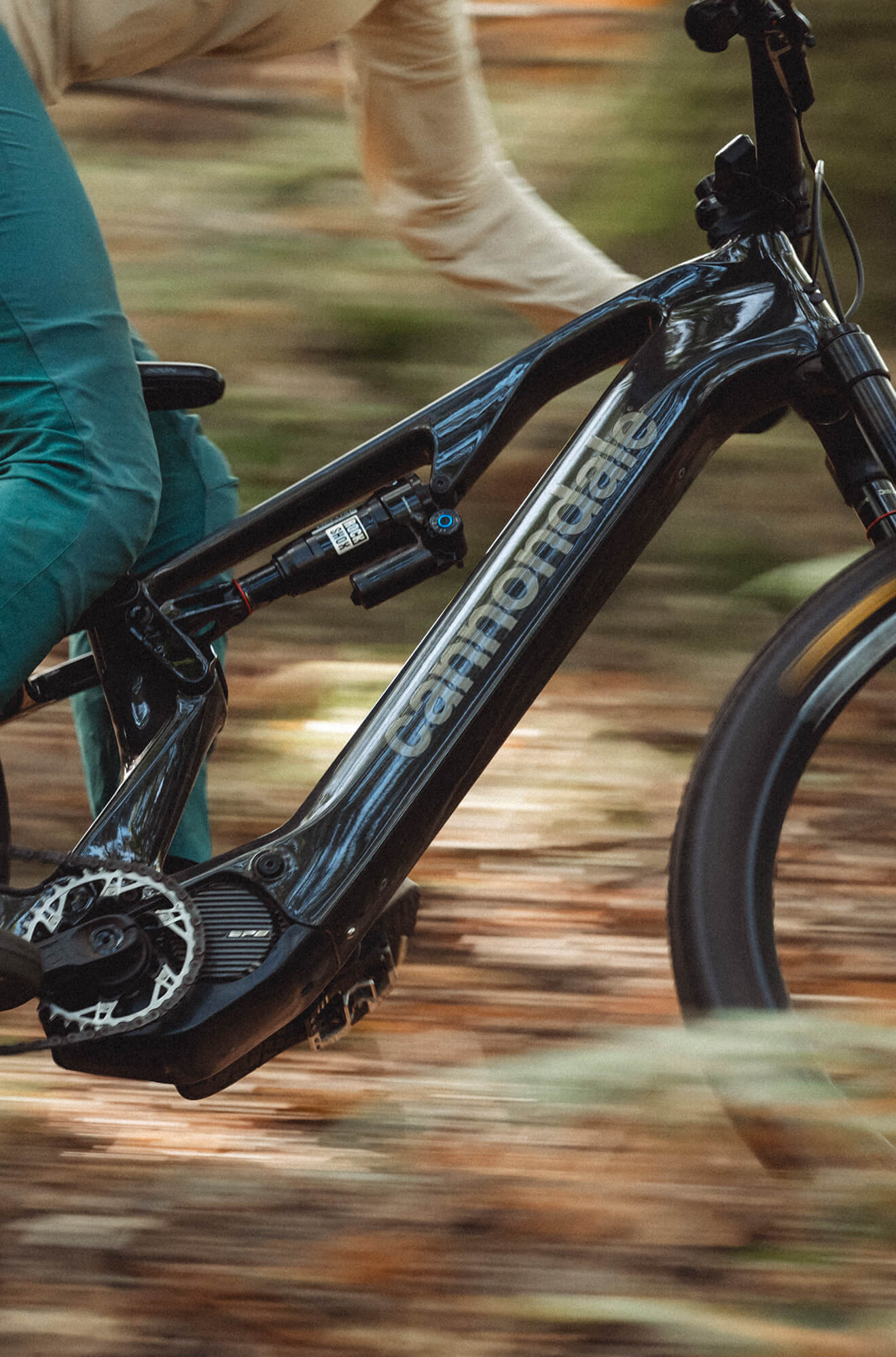 Bici a pedalata assistita