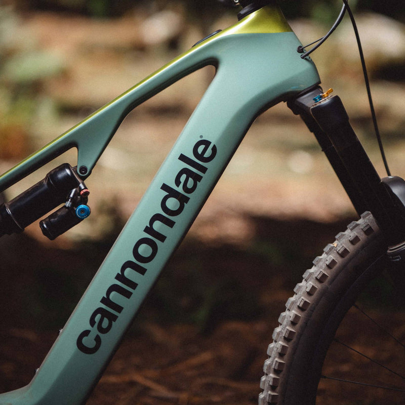 Cannondale - Mountain Bike a pedalata assistita