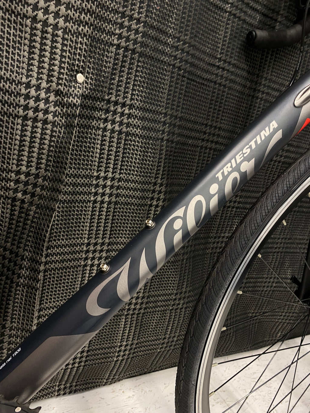 Wilier Montegrappa taglia 55 - Usato Garantito