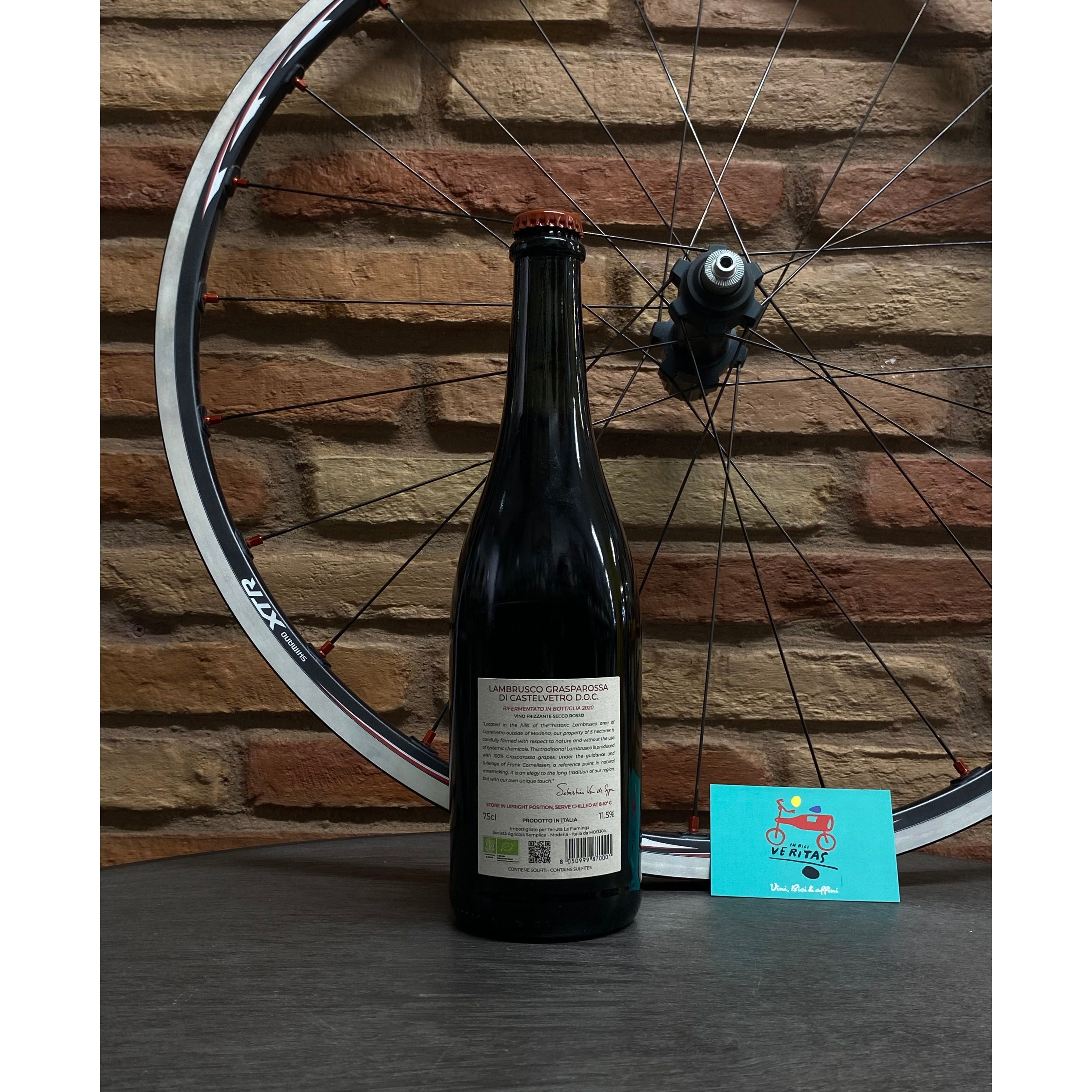 Sebastian Van de Sype - Lambrusco Grasparossa di Castelvetro DOC 2020