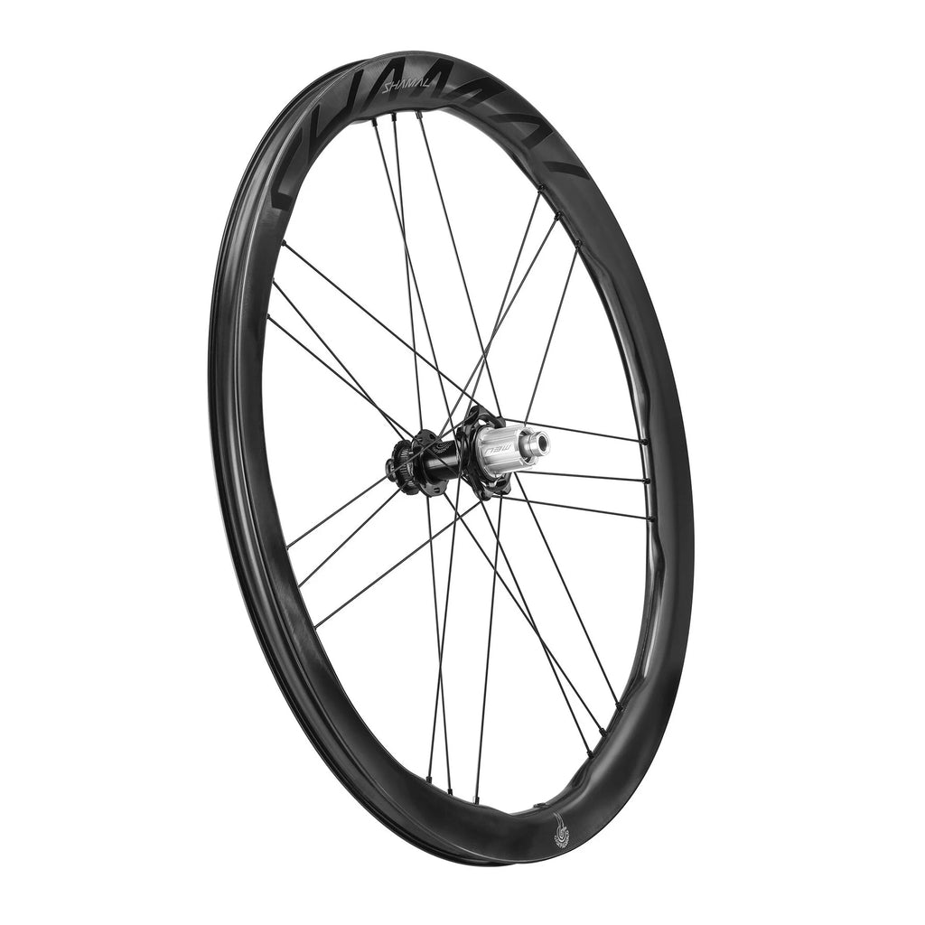 Roues Campagnolo Shamal à double profil