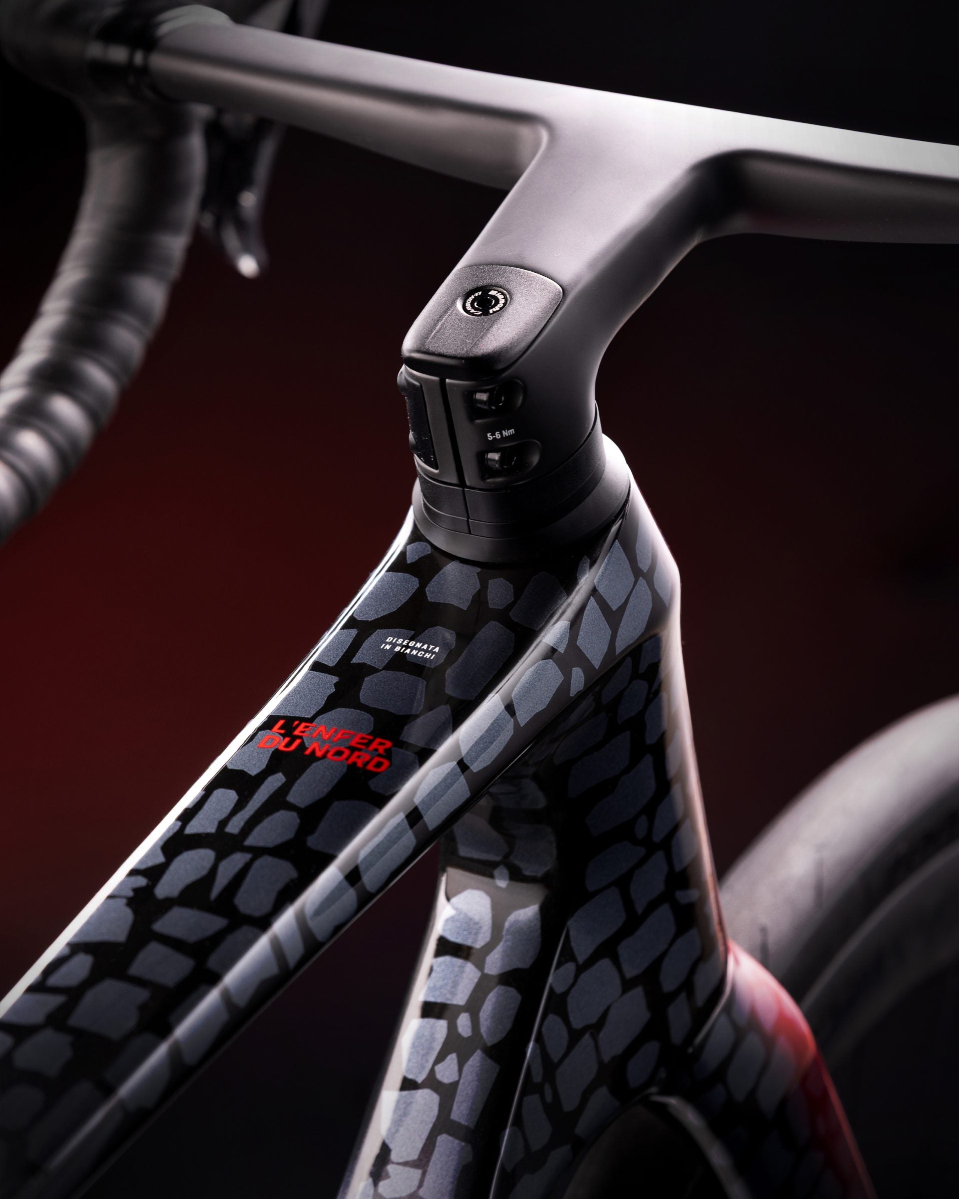 Bicicletta Bianchi Infinito Paris-Roubaix Edition