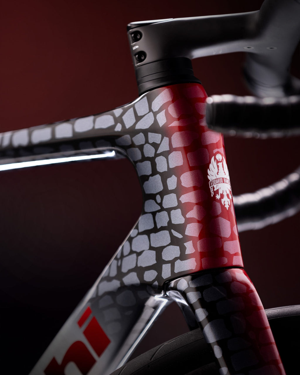 Bicicletta Bianchi Infinito Paris-Roubaix Edition