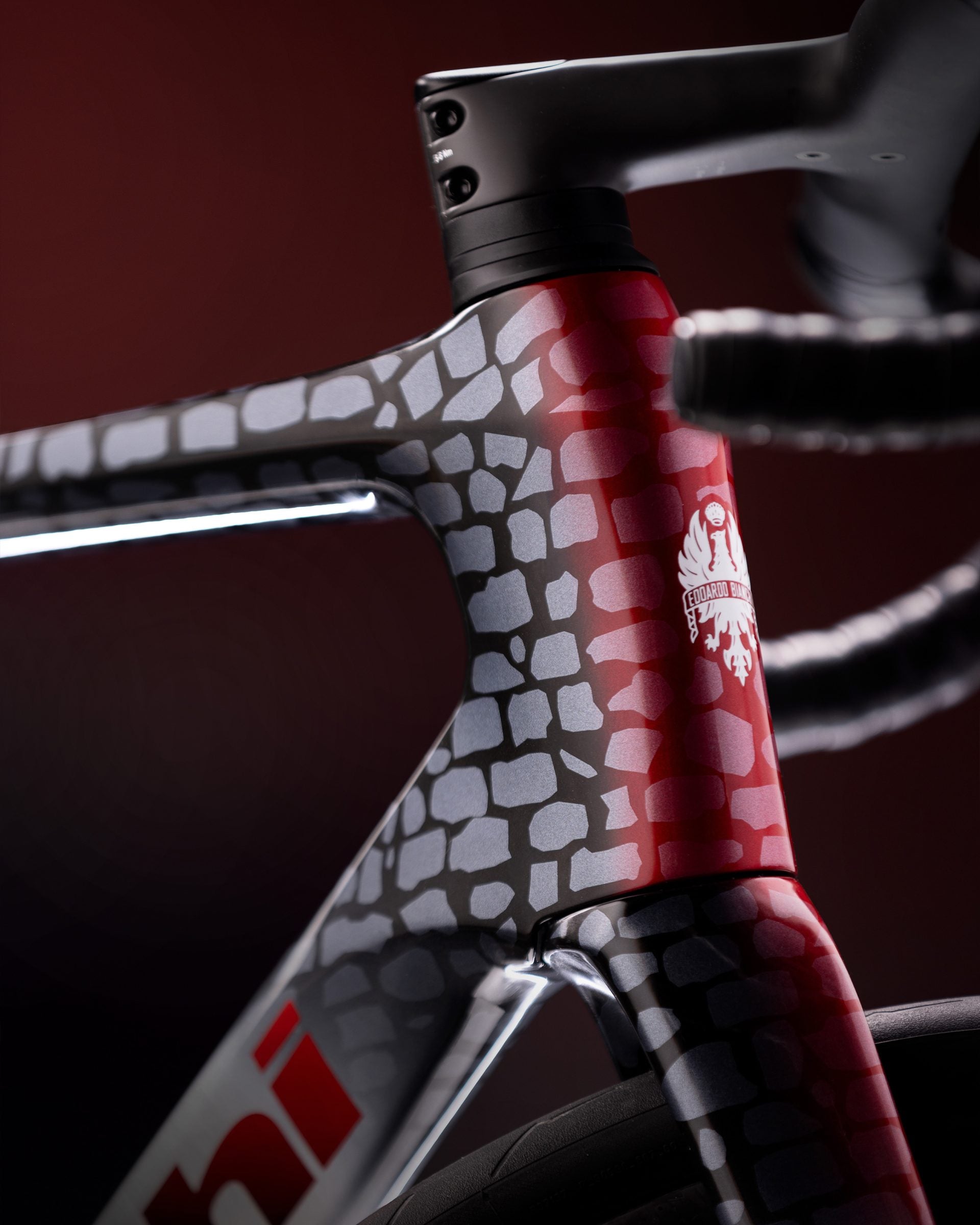 Bicicletta Bianchi Infinito Paris-Roubaix Edition