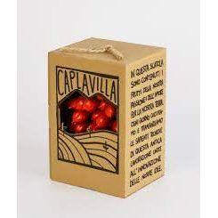 Bunch of Piennolo del Vesuvio PDO tomatoes - Caplavilla